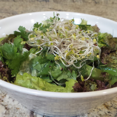 Nutrient Packed Salad with Quick Homemade Lemon Vinaigrette