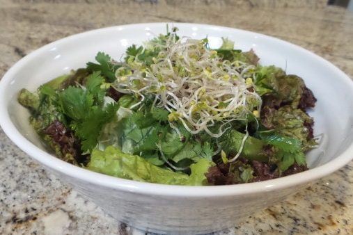 Nutrient Packed Salad with Quick Homemade Lemon Vinaigrette
