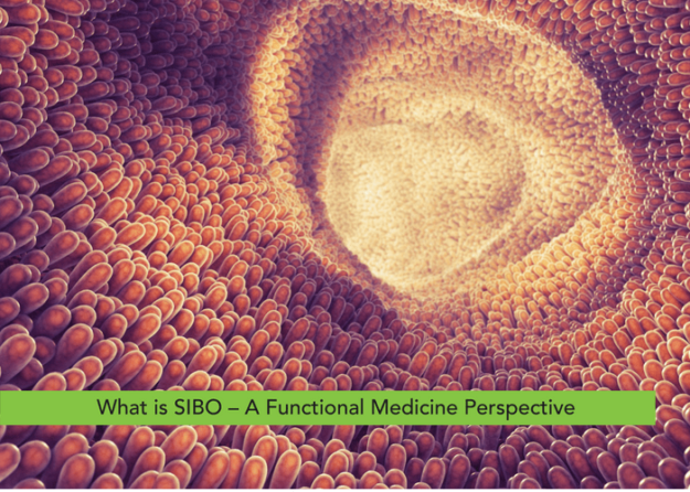 What is SIBO (Small Intestine Bacterial Overgrowth) - A Functional Medicine Perspective
