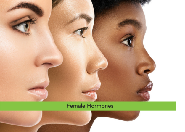 Female Hormones