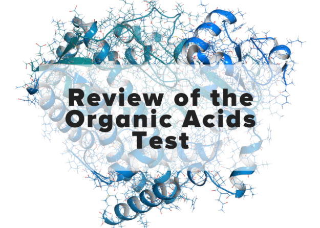 Review of the Organic Acids Test