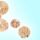 Natural osteoporosis treatment